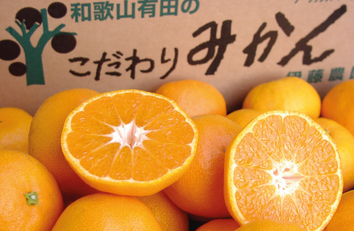 生果みかん