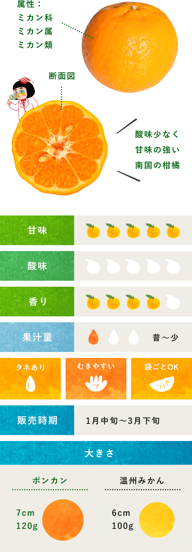 ポンカン 柑橘のことなら みかんな図鑑 伊藤農園 伊藤農園のみかんな図鑑