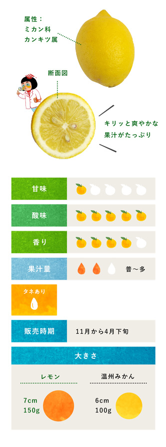 レモン 柑橘のことなら みかんな図鑑 伊藤農園 伊藤農園のみかんな図鑑