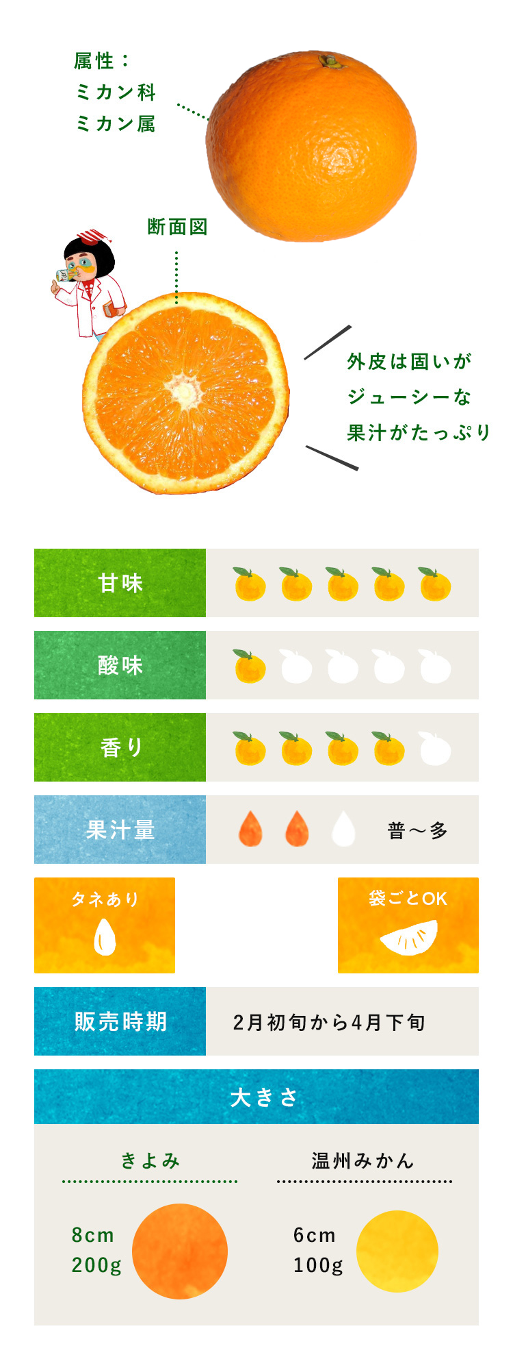 清見オレンジ 柑橘のことなら みかんな図鑑 伊藤農園 伊藤農園のみかんな図鑑