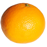 夏みかん・柑橘のことなら「みかんな図鑑」｜伊藤農園 | 伊藤農園の 