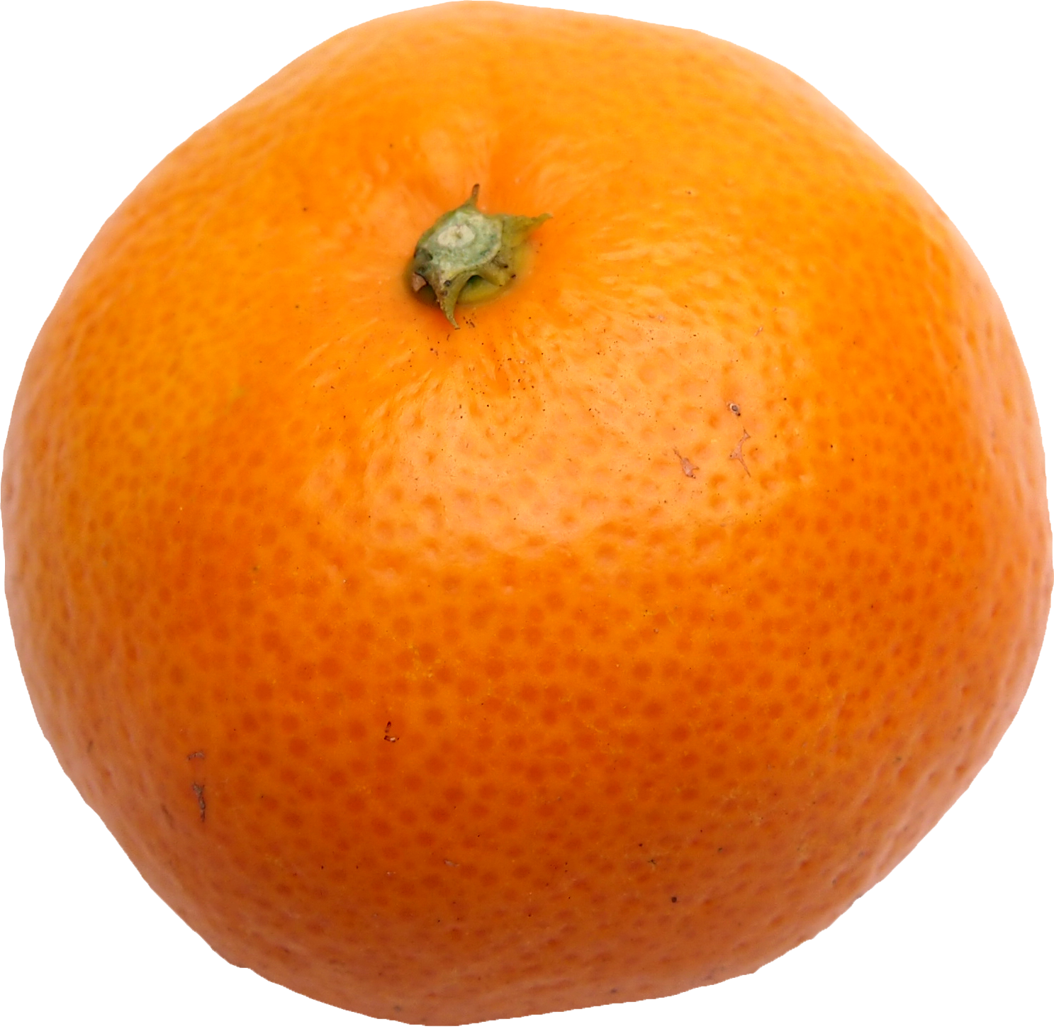 みかん・柑橘のことなら「みかんな図鑑」｜伊藤農園 | 伊藤農園の 
