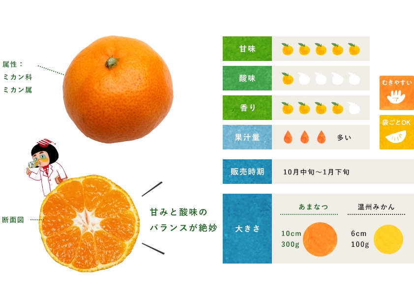 みかん 柑橘のことなら みかんな図鑑 伊藤農園 伊藤農園のみかんな図鑑