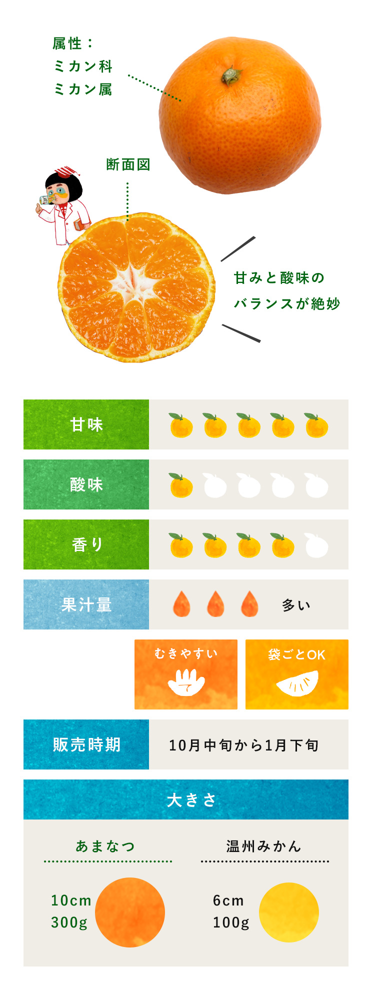 みかん・柑橘のことなら「みかんな図鑑」｜伊藤農園 | 伊藤農園の 