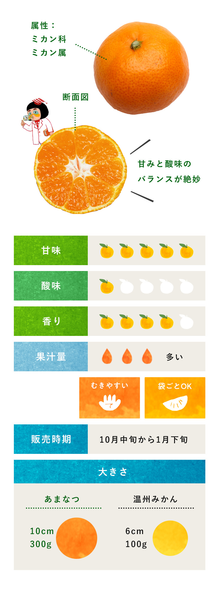 みかん 柑橘のことなら みかんな図鑑 伊藤農園 伊藤農園のみかんな図鑑