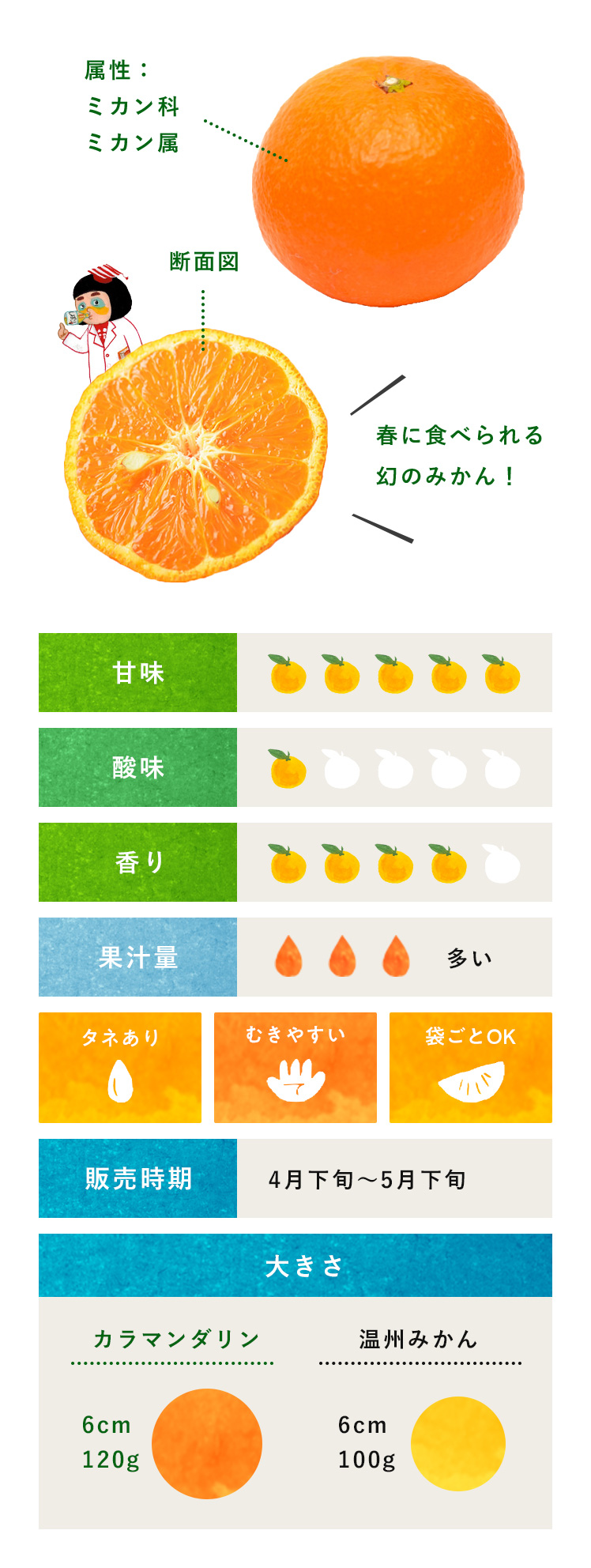 カラマンダリン 柑橘のことなら みかんな図鑑 伊藤農園 伊藤農園のみかんな図鑑