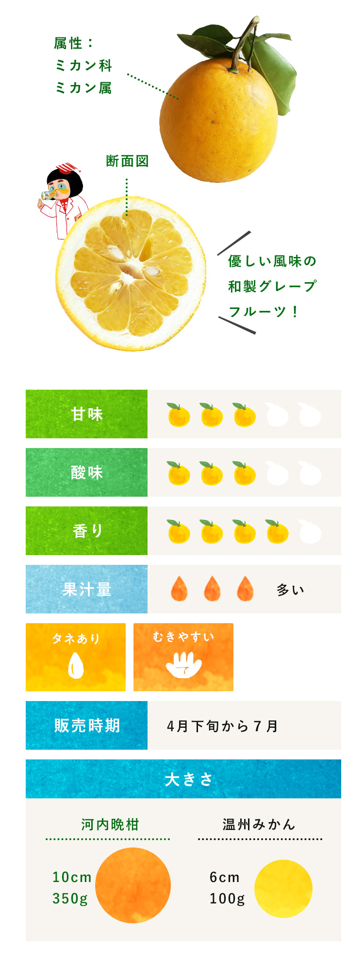 【えひめ産】《訳あり》かわちばんかん《河内晩柑》みかん蜜柑ミカン柑橘