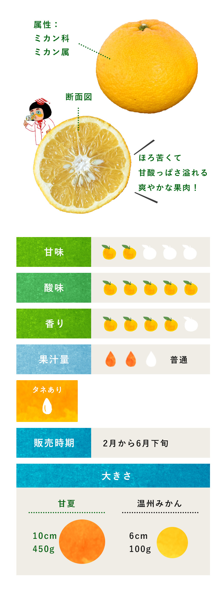 甘夏 柑橘のことなら みかんな図鑑 伊藤農園 伊藤農園のみかんな図鑑