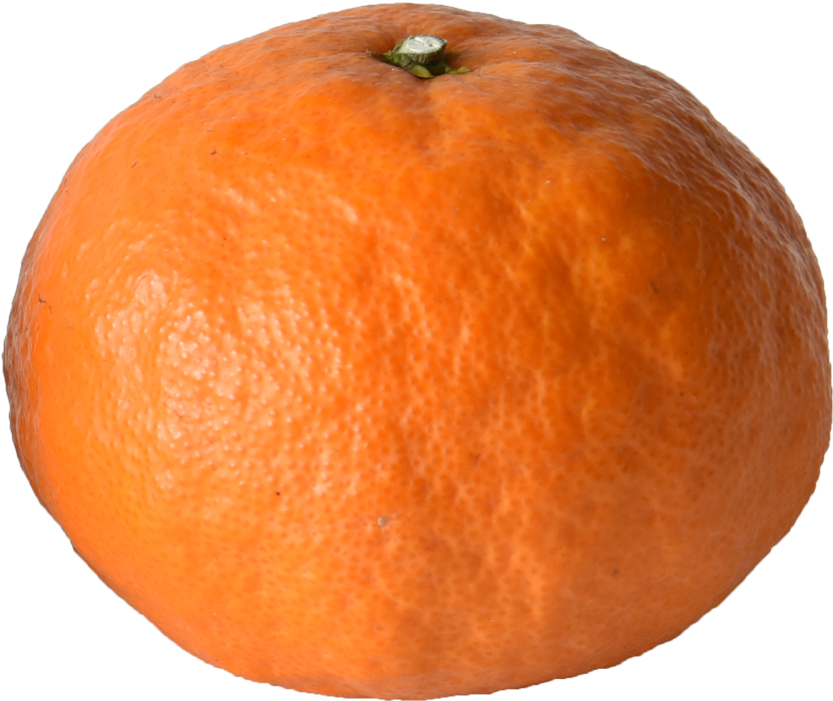 はるみ 柑橘