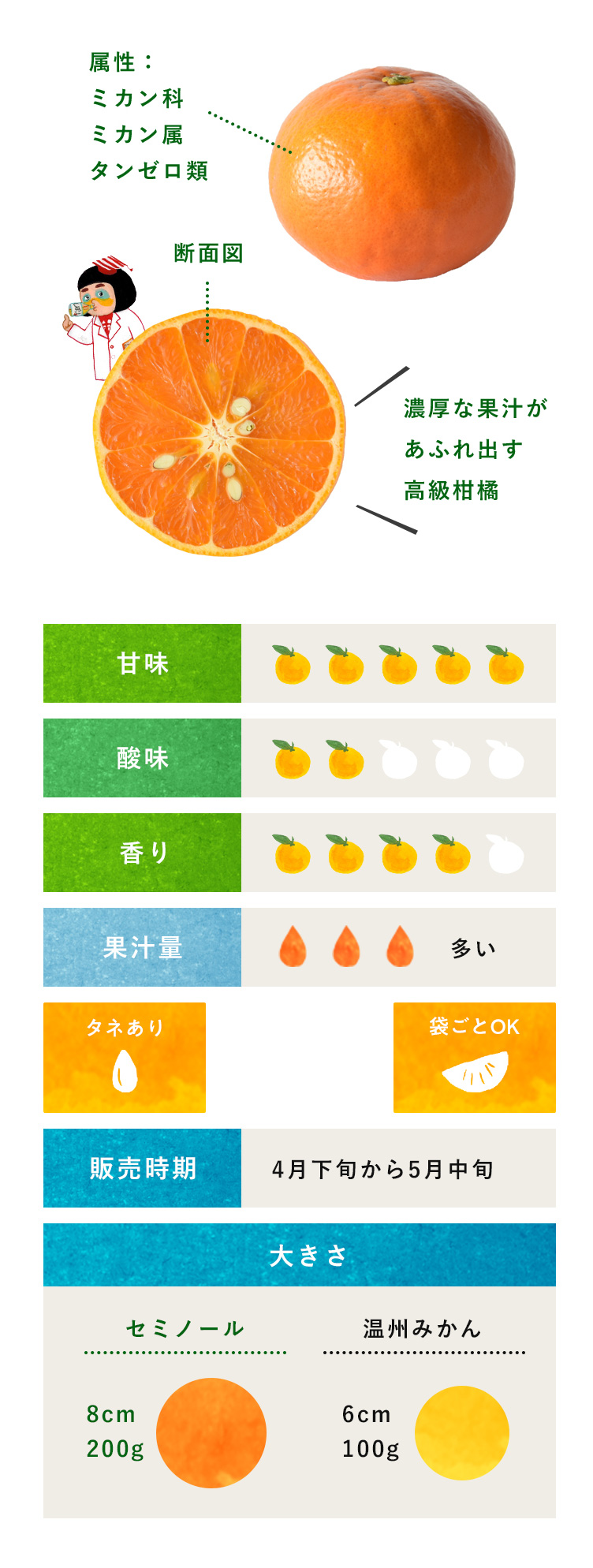 セミノール・柑橘のことなら「みかんな図鑑」｜伊藤農園 | 伊藤農園のみかんな図鑑