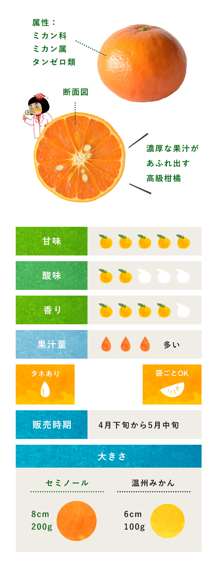 セミノール 柑橘のことなら みかんな図鑑 伊藤農園 伊藤農園のみかんな図鑑