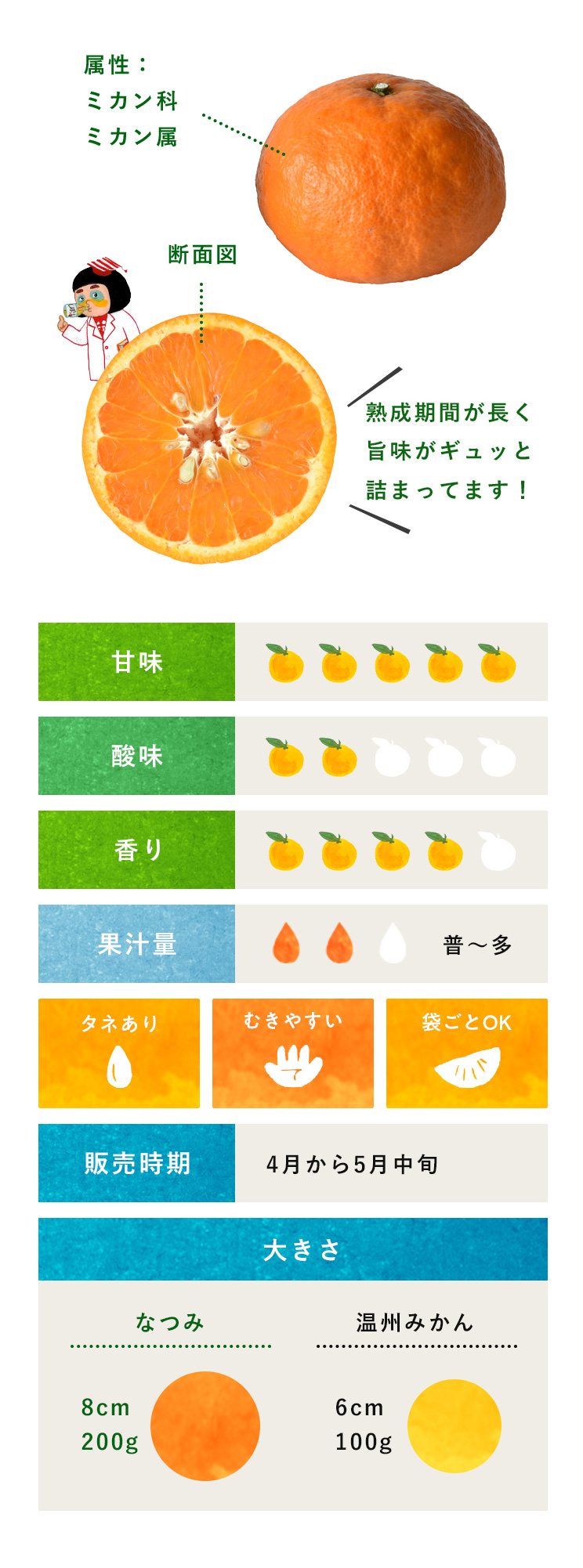 南津海 なつみ 柑橘のことなら みかんな図鑑 伊藤農園 伊藤農園のみかんな図鑑