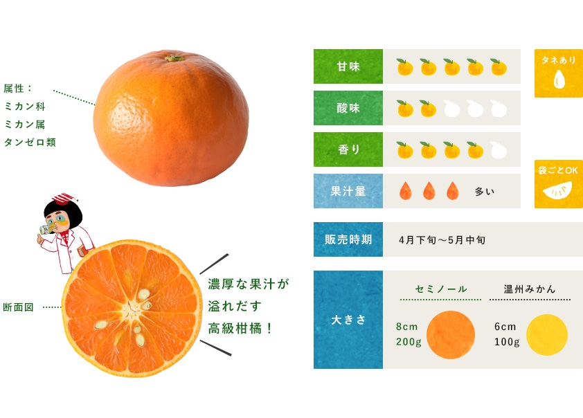 セミノール 柑橘のことなら みかんな図鑑 伊藤農園 伊藤農園のみかんな図鑑