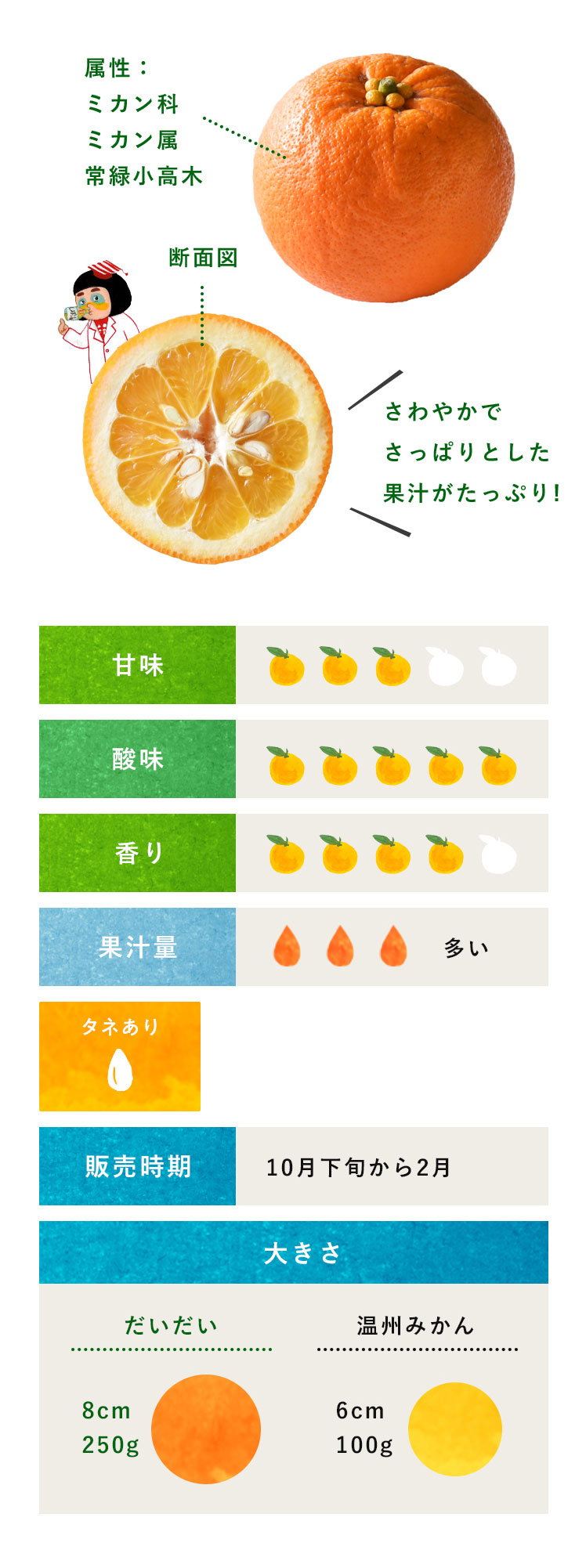 橙 だいだい 柑橘のことなら みかんな図鑑 伊藤農園 伊藤農園のみかんな図鑑