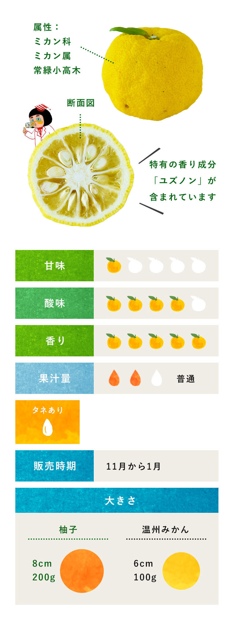 ゆず 柑橘のことなら みかんな図鑑 伊藤農園 伊藤農園のみかんな図鑑