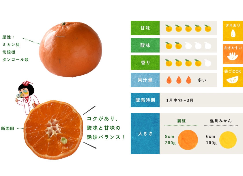 麗紅 柑橘のことなら みかんな図鑑 伊藤農園 伊藤農園のみかんな図鑑