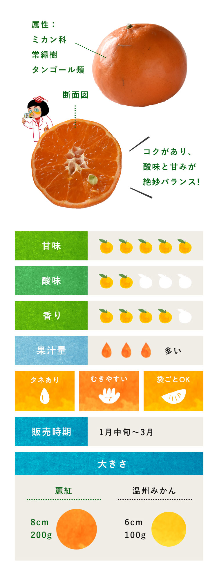 麗紅 柑橘のことなら みかんな図鑑 伊藤農園 伊藤農園のみかんな図鑑