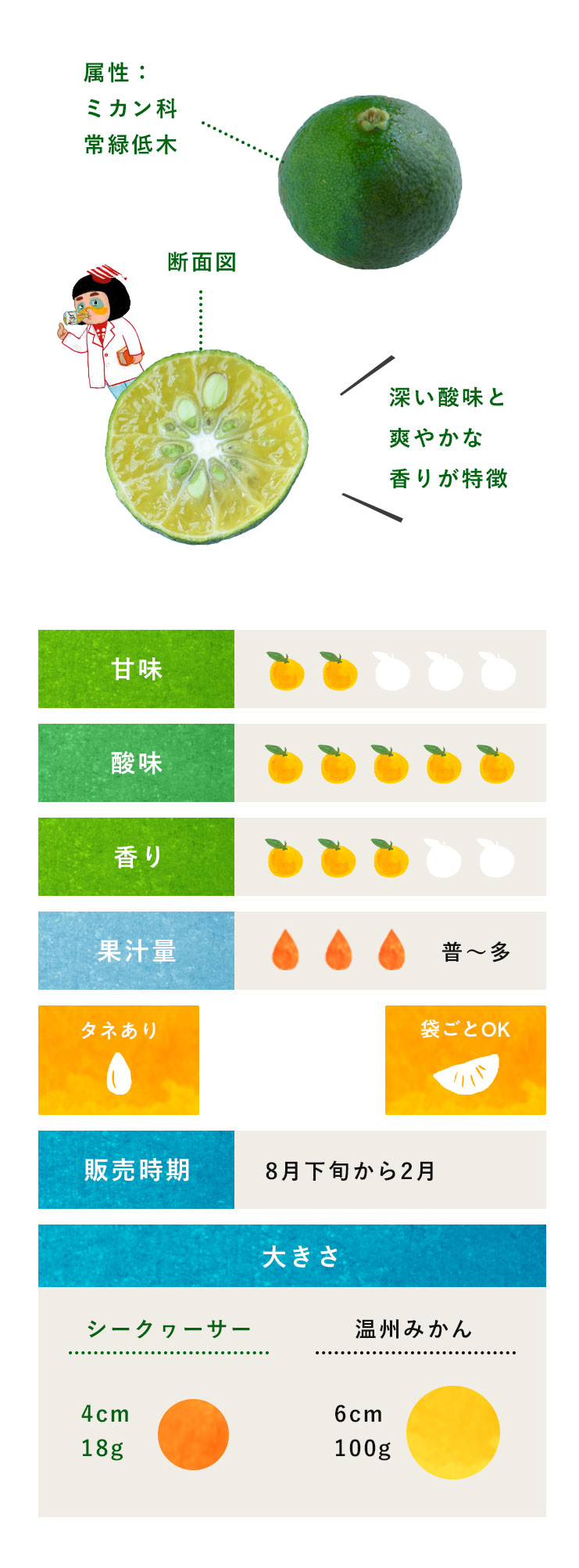 シークワーサー 柑橘のことなら みかんな図鑑 伊藤農園 伊藤農園のみかんな図鑑