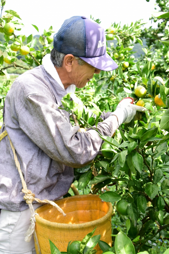 大きさにもよりますが5kg以上入ります！