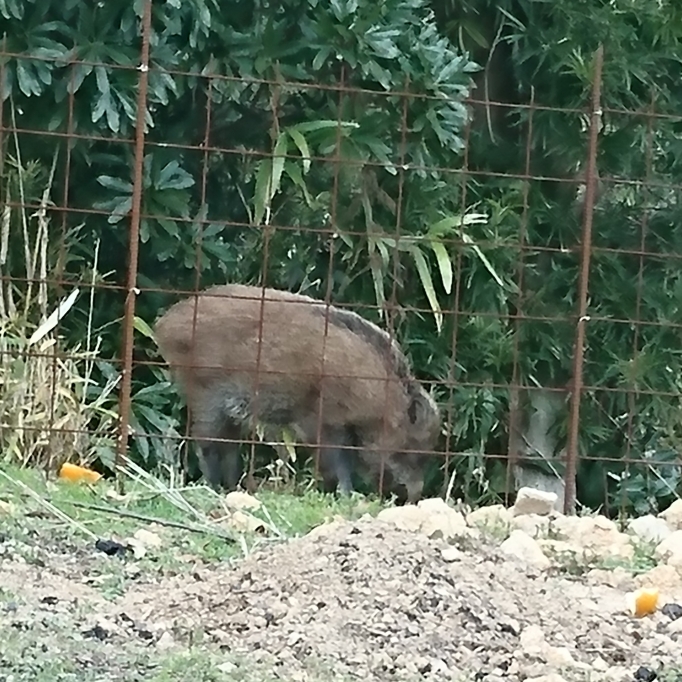 入れるところないかなー