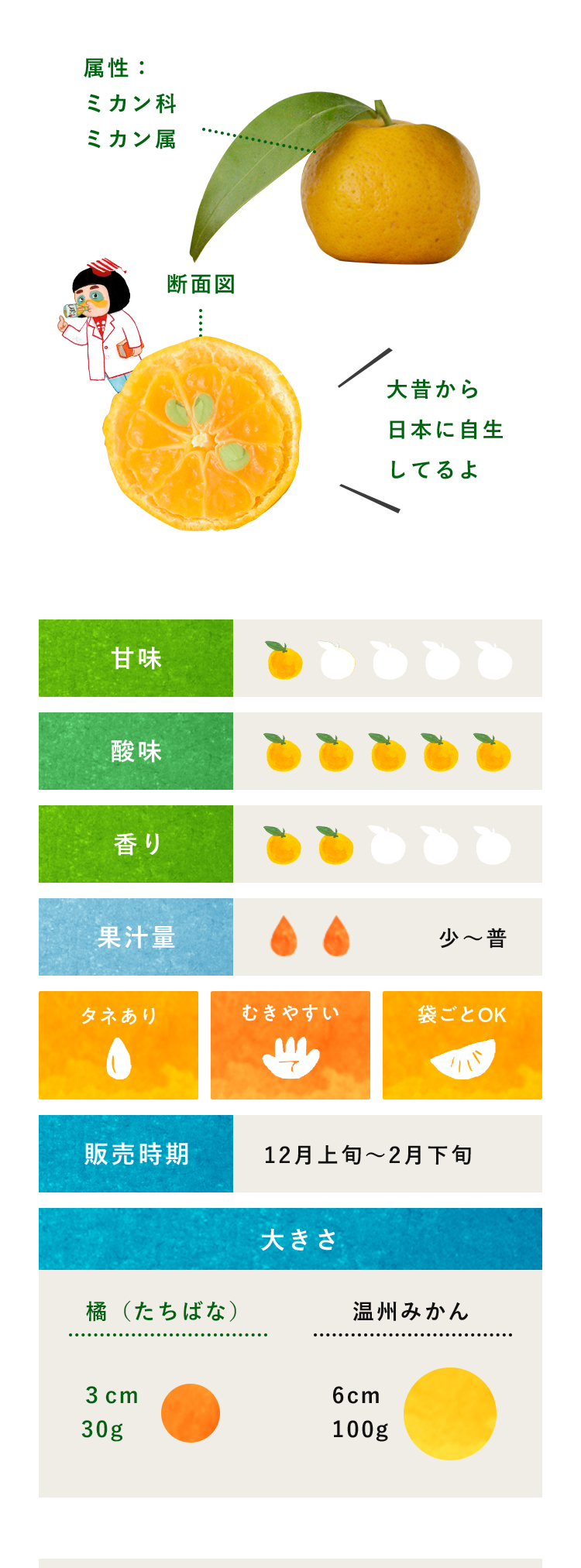 橘(たちばな)