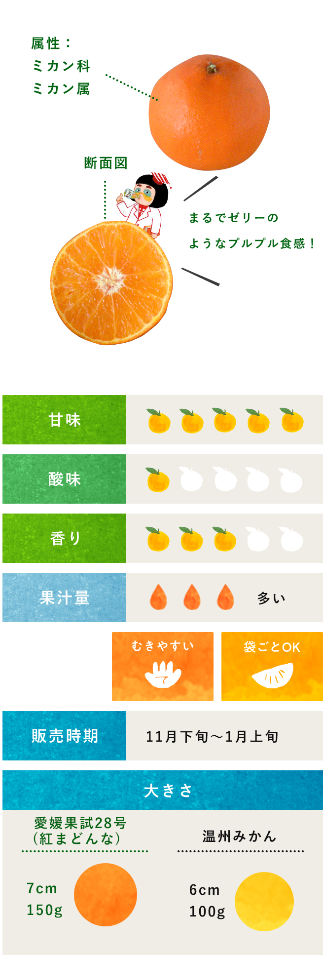 シークワーサー 柑橘のことなら みかんな図鑑 伊藤農園 伊藤農園のみかんな図鑑