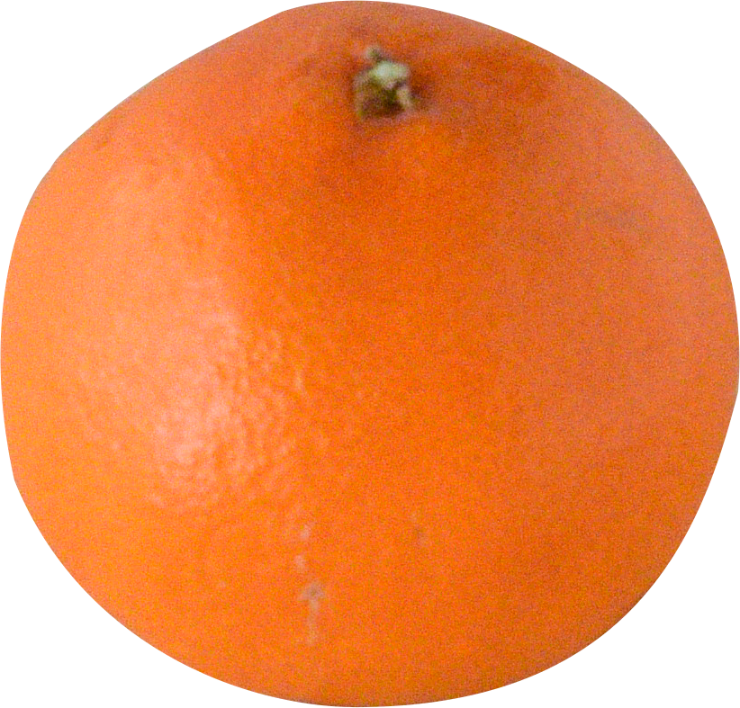 77edf0d5bc6d6a67722635aa56513c