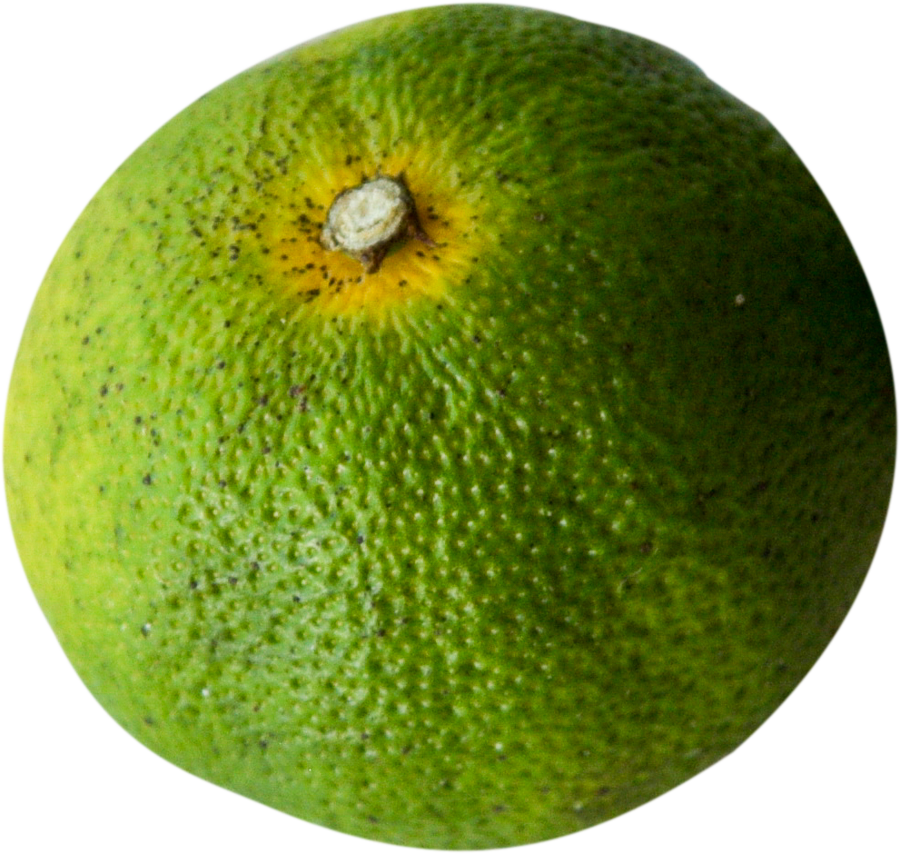 ヘベス　へべす ヘベズ - Wikipedia