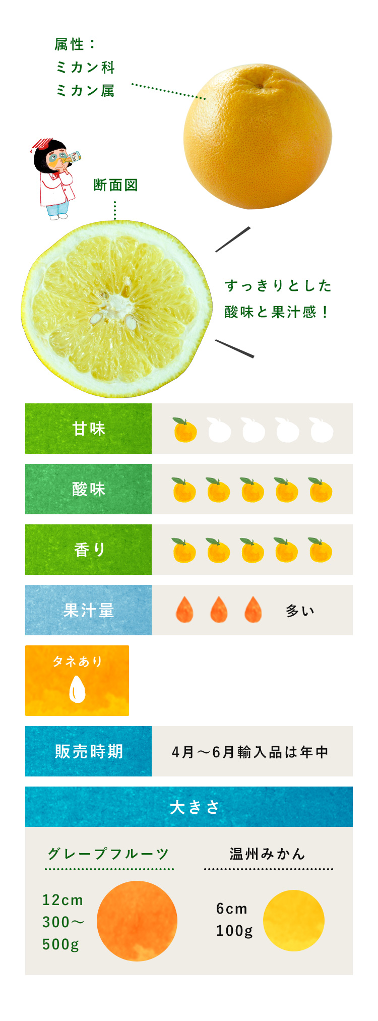 みかん 柑橘のことなら みかんな図鑑 伊藤農園 伊藤農園のみかんな図鑑