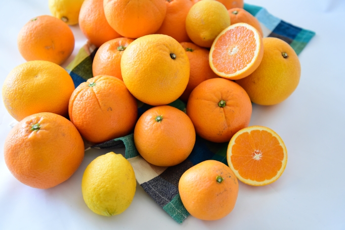 多くの柑橘類の中から「きよみ」と「はるみ」に注目して見ていきましょう。