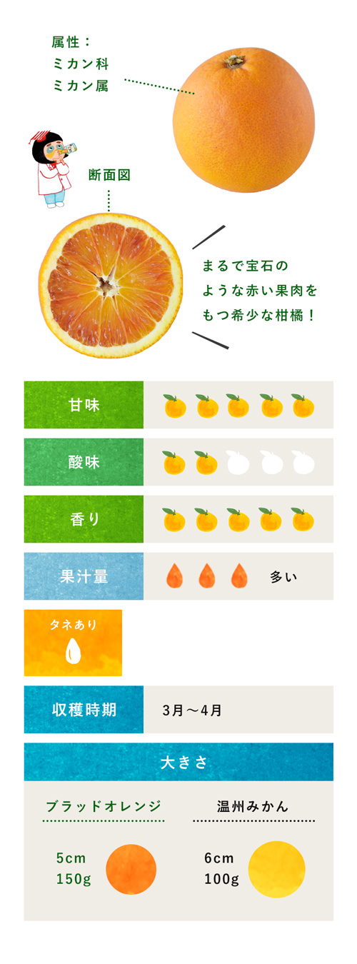 ブラッドオレンジ