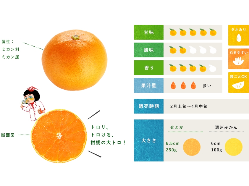 せとか