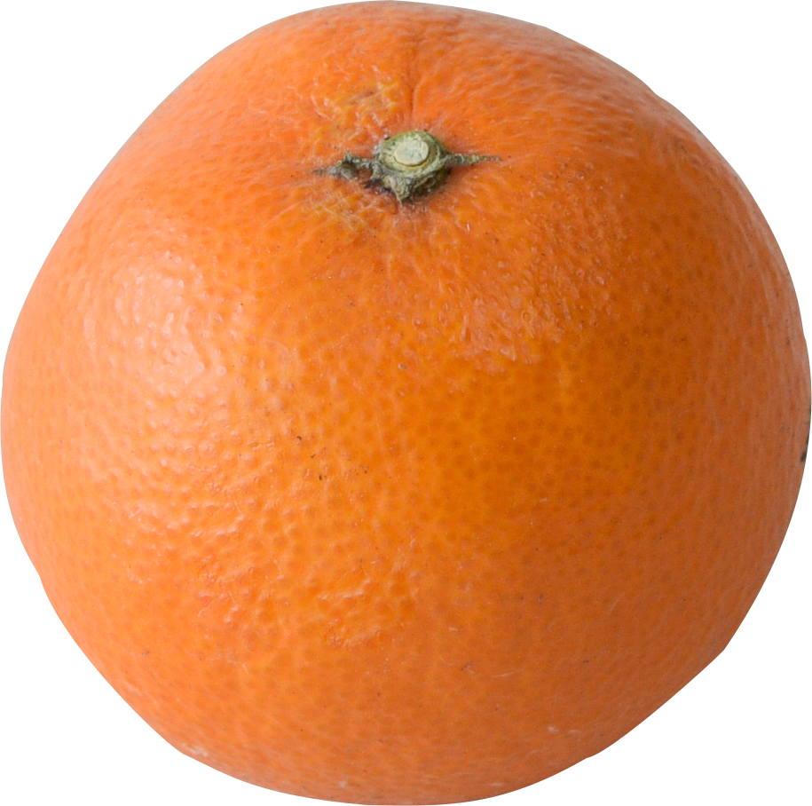 ed16155183bc2aa55fd94fcf50596f