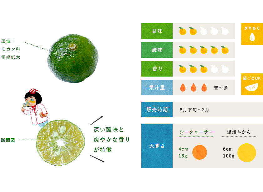 シークワーサー