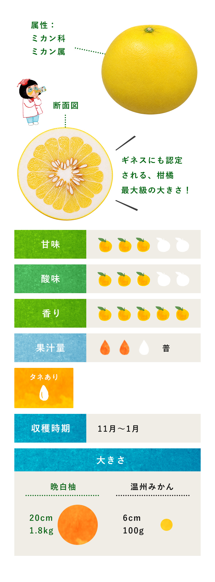 晩白柚