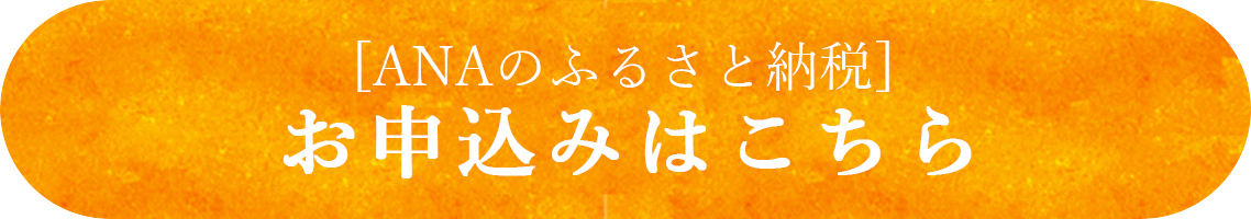 ANAのふるさと納税 -マイルが貯まる-