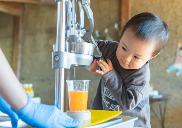 搾り機でみかんジュースをしぼる子ども