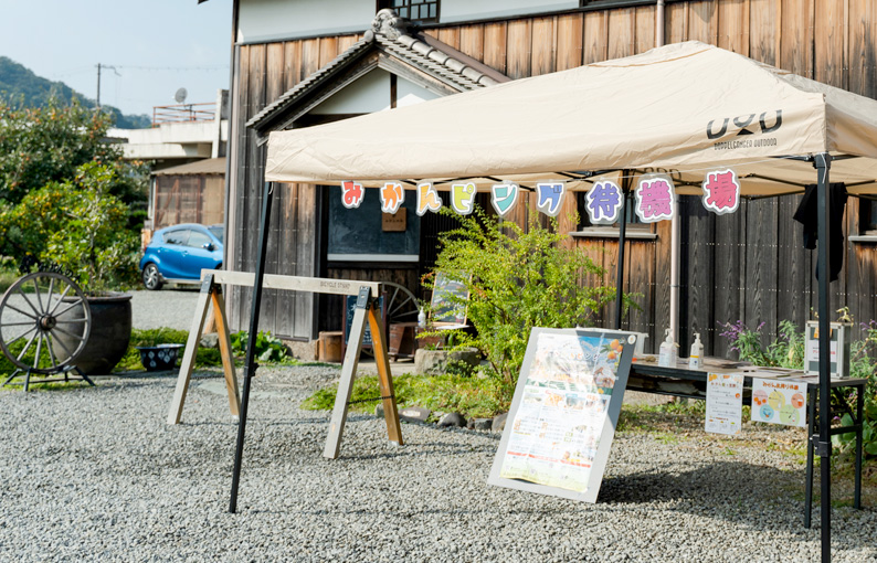 写真：みかんピング